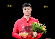 开云足球直播-瑞典乒乓球队血洗波兰乒乓球队，许昕惊艳世界的简单介绍