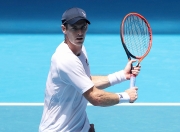 开云APP-法网翻盘澳网，穆雷高光表现的简单介绍