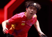 开云体育官方网站-包含韩国队轻取葡萄牙队，王皓关键制胜的词条