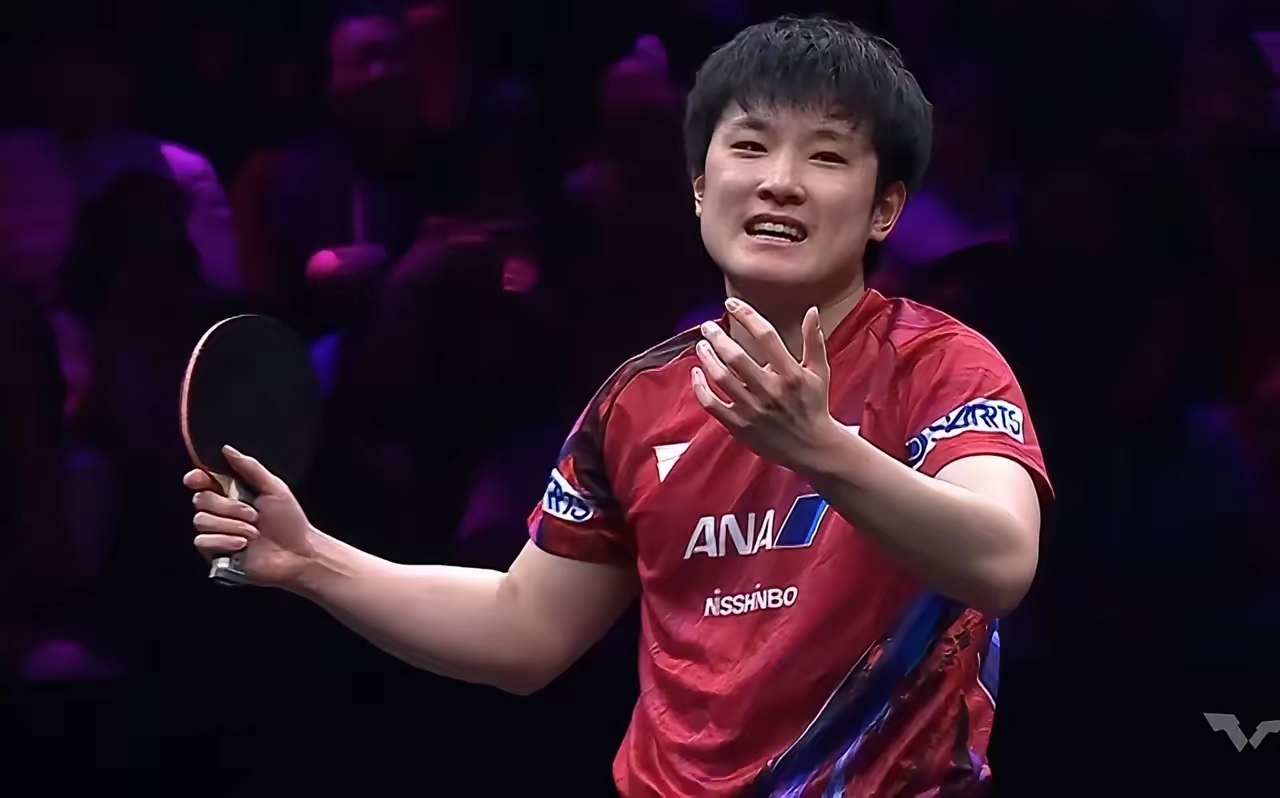 波兰乒乓球队绝地反击德国乒乓球队，张本智和惊艳世界的简单介绍