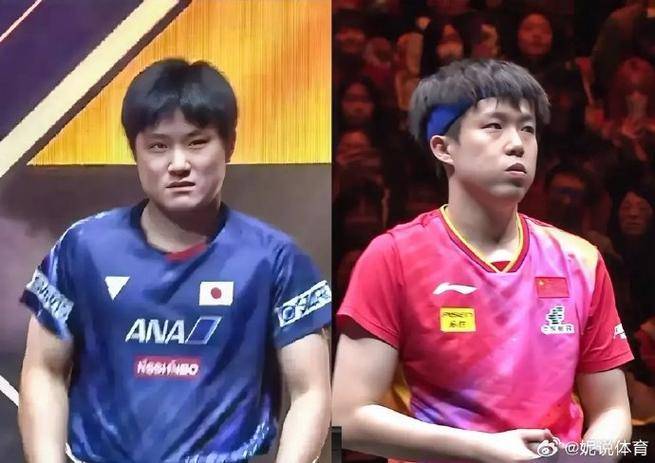 波兰乒乓球队绝地反击德国乒乓球队，张本智和惊艳世界的简单介绍