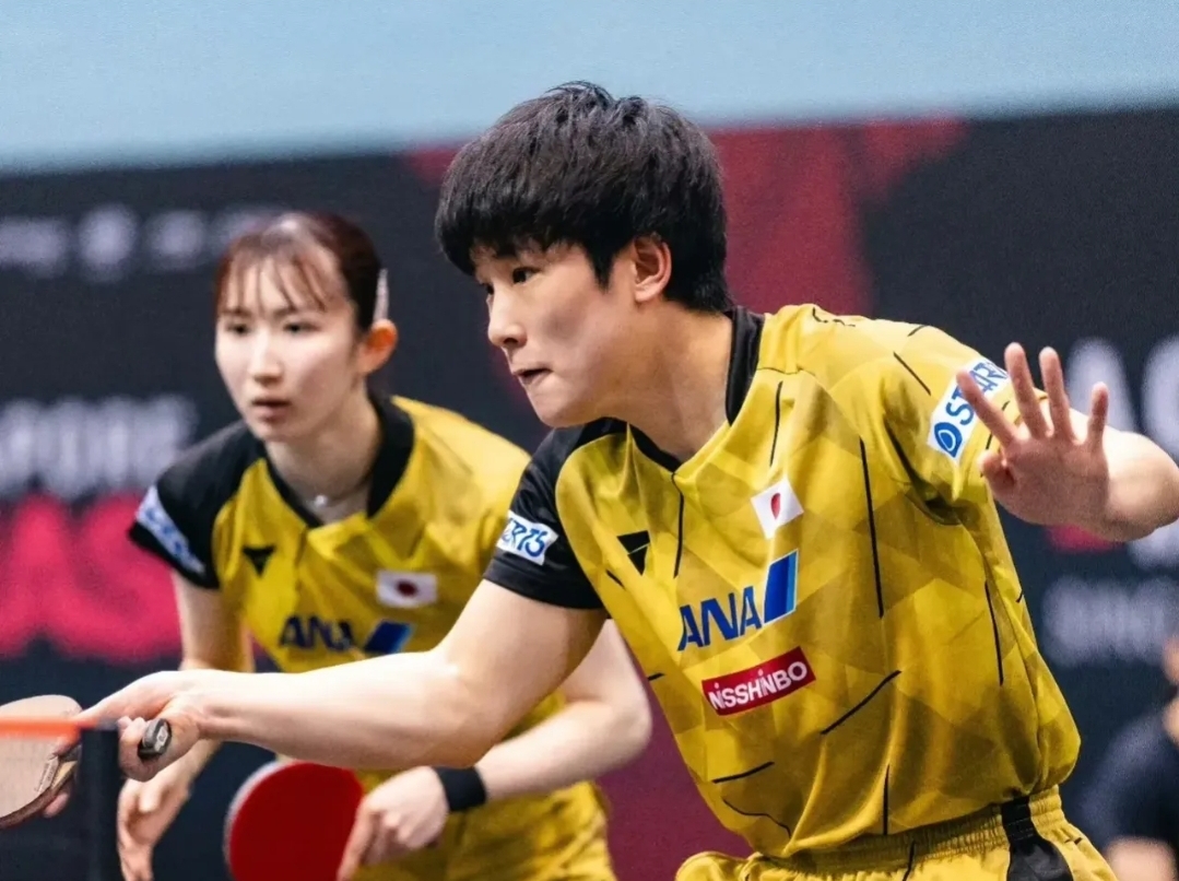 包含德国乒乓球队血洗韩国乒乓球队,张本智和爆发神勇的词条 包含德国乒乓球队血洗韩国乒乓球队,张本智和爆发神勇的词条