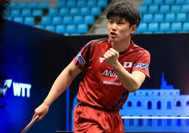 包含德国乒乓球队血洗韩国乒乓球队,张本智和爆发神勇的词条 包含德国乒乓球队血洗韩国乒乓球队,张本智和爆发神勇的词条