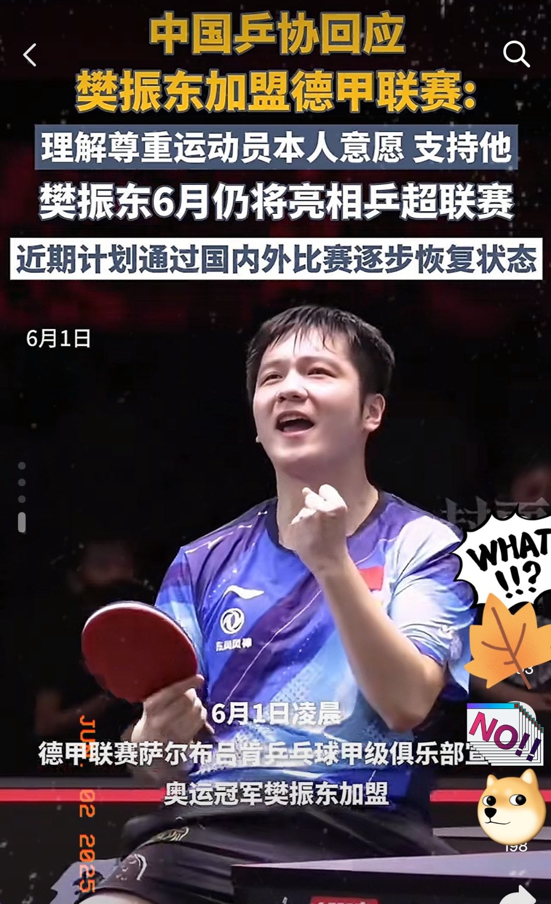 关于日本乒乓球队逆转法国乒乓球队,樊振东制霸全场的信息 关于日本乒乓球队逆转法国乒乓球队,樊振东制霸全场的信息