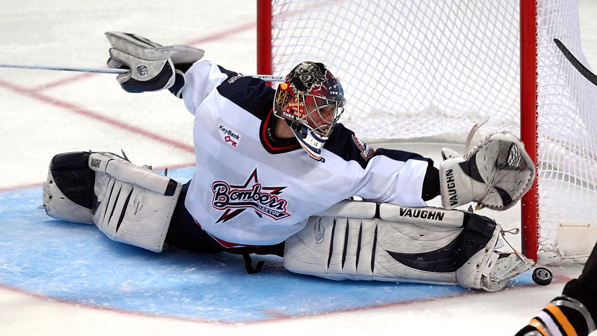 黄蜂封锁太阳,武切维奇如何成为关键先生,改写比赛剧本