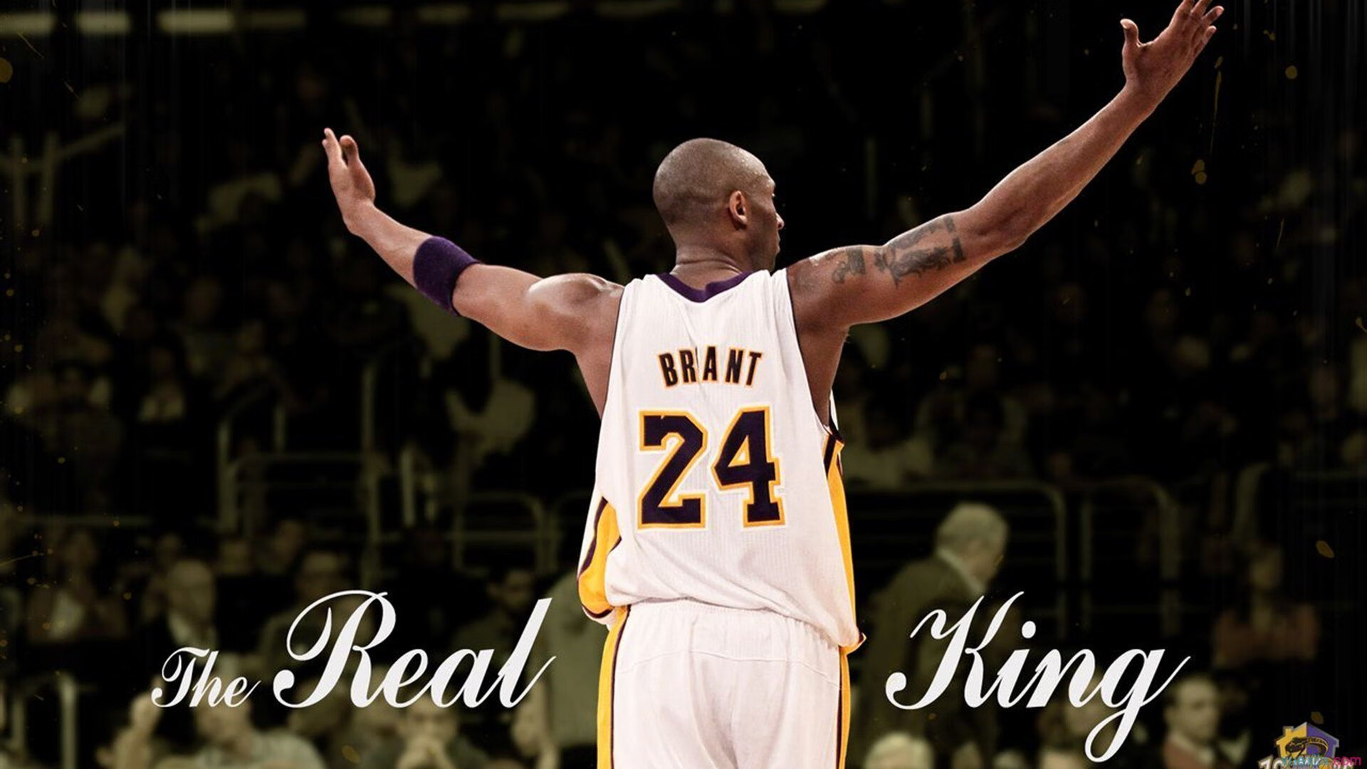 从红土到硬地，蒂姆的进化论—ATP总决赛如何碾压蒙特卡洛大师赛成为新王加冕地